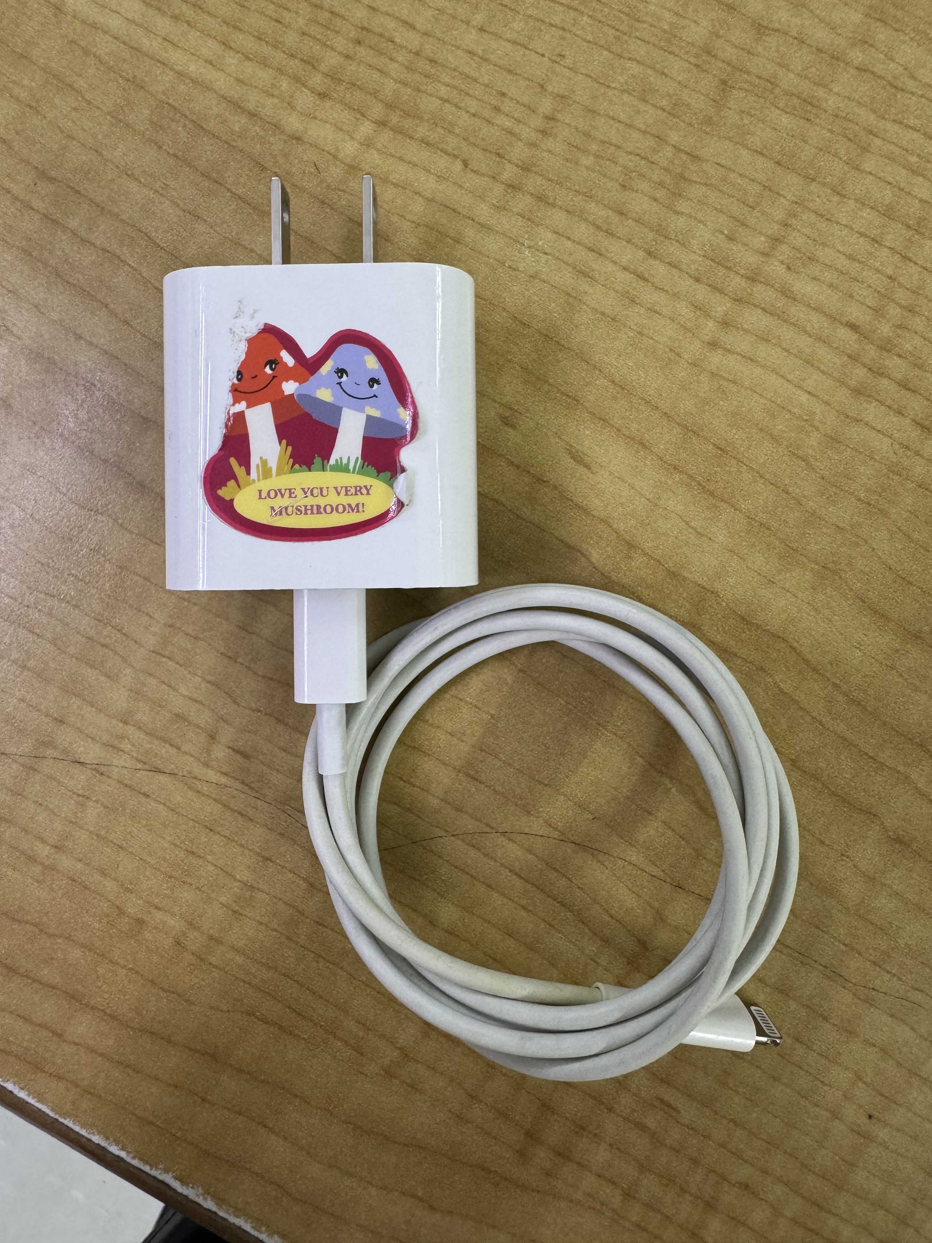 สายชาร์จ (Charging cable) 