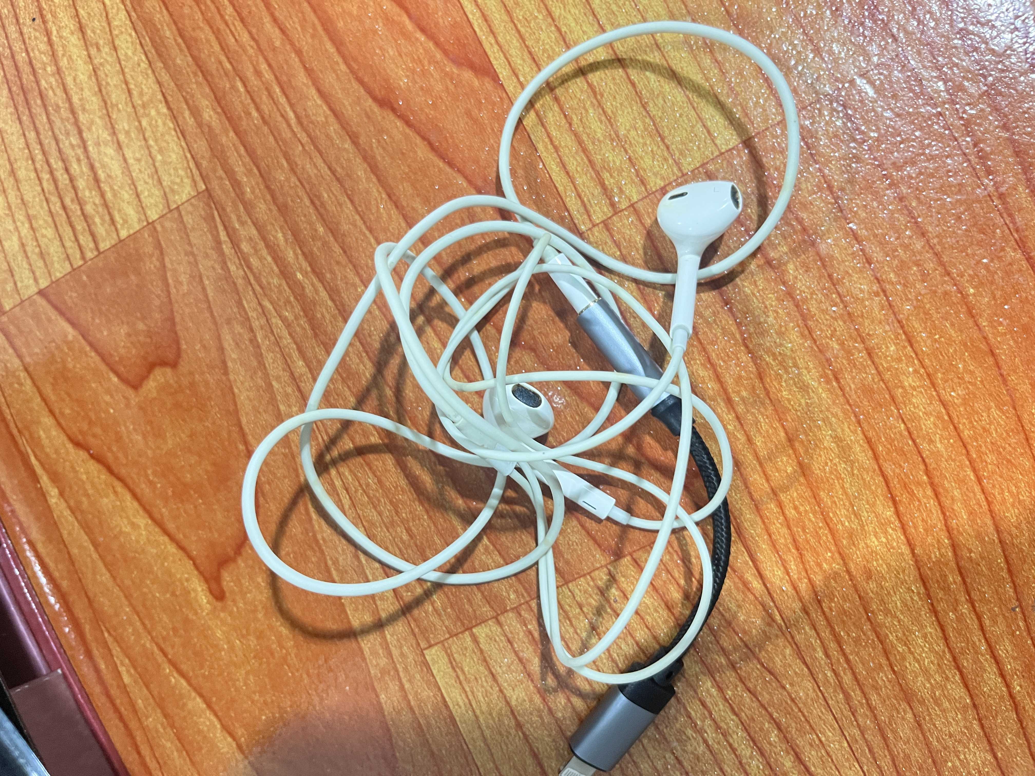 หูฟัง (Earphones) 