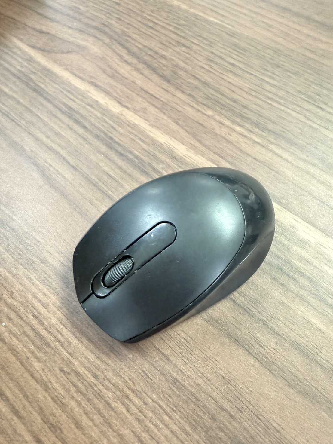 เม้าส์ (Mouse) 
