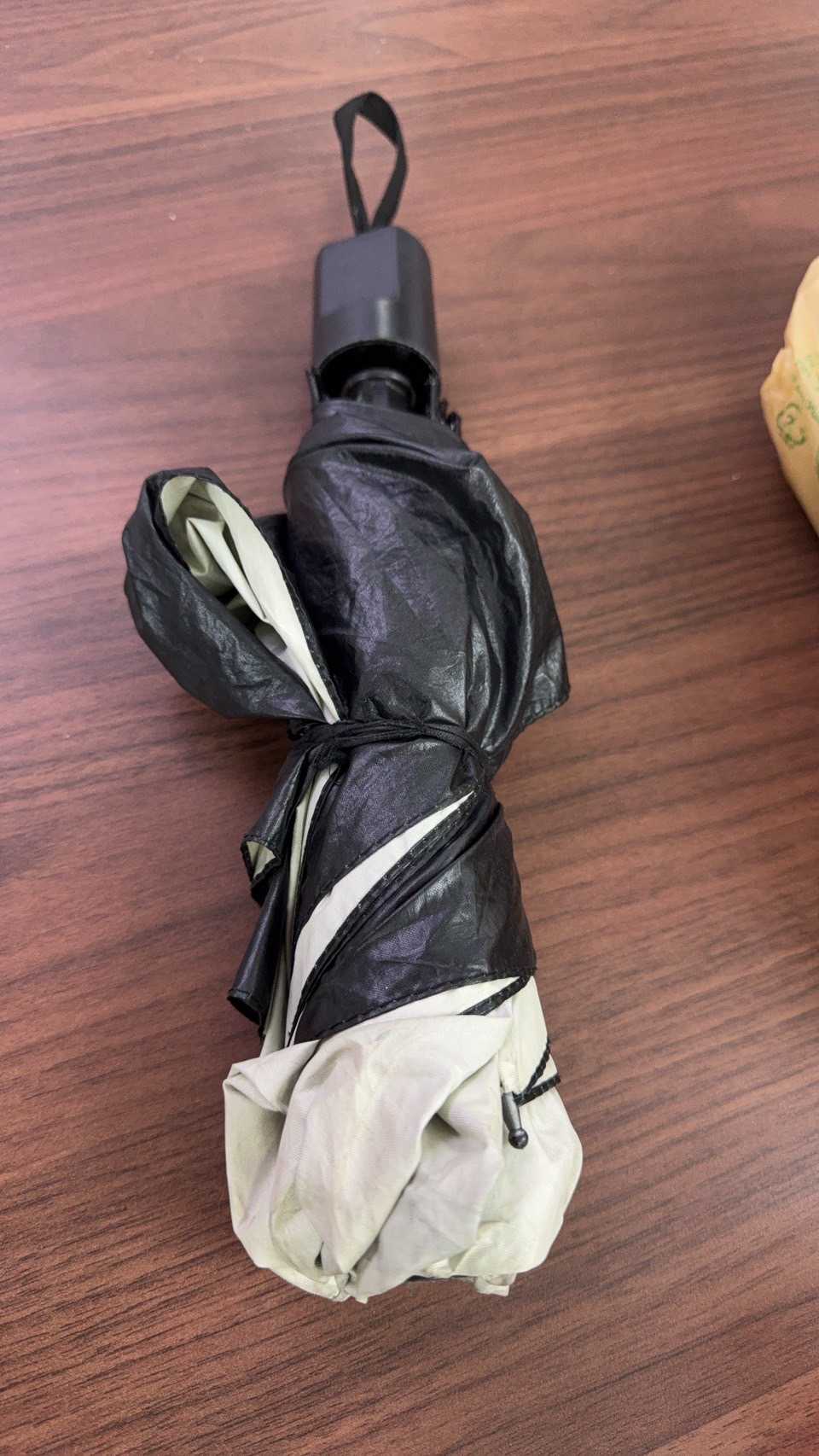ร่ม (Umbrella) 