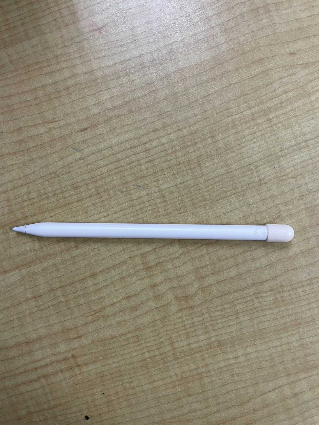 ปากกาไอแพด (Apple Pencil) 