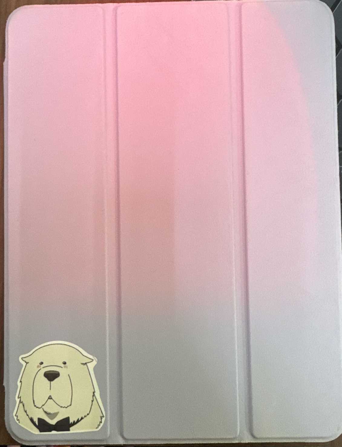 iPad 
