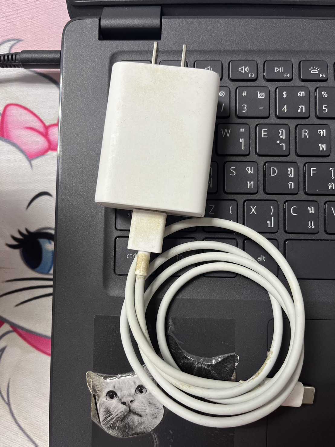 สายชาร์จ (Charging cable) 